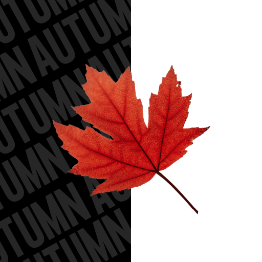 Autumn KWGT 5.0.1 Icon