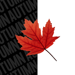 Icon image Autumn KWGT