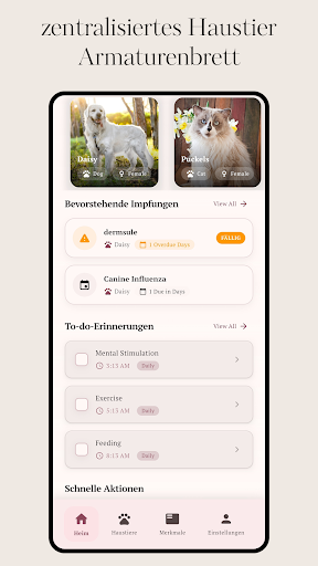 App-Vorschau