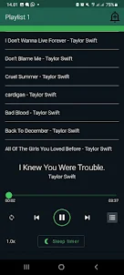 Taylor Swift Song Offline