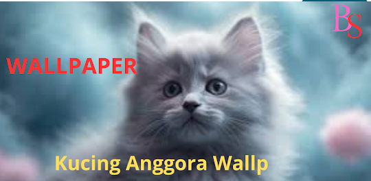 Kucing Anggora Wallp