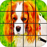 Puppies Puzzle Games icon