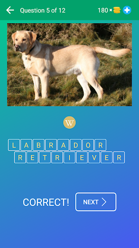 Dog Quiz: Guess the Breed — Game, Pictures, Test 1.20 screenshots 2