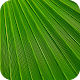 Get rid of STRETCH MARKS - Home Remedies Download on Windows