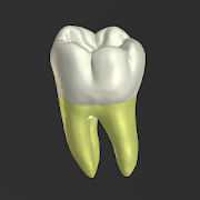 Top 21 Education Apps Like 3D Tooth Anatomy - Best Alternatives