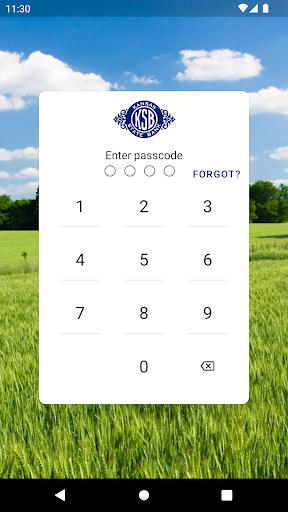 Android application Kansas State Bank - Ottawa screenshort