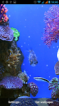 screenshot of Aquarium Live Wallpaper