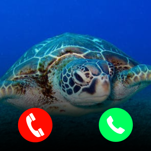 Turtle Fake Video Call