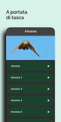 Caccia: Richiami Selezionati screenshot 2