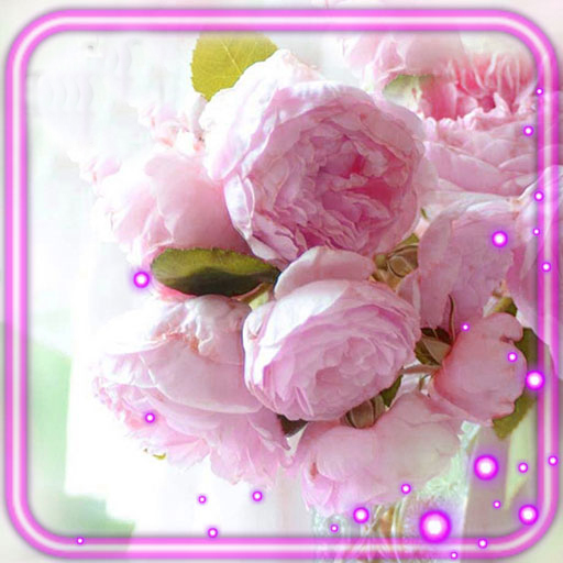 Peons Bouquet Live Wallpaper