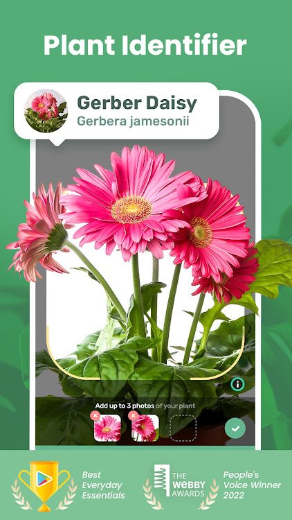 Blossom - Plant Identifier - 1.56.2 - (Android)