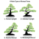 盆栽の木の種類