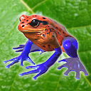 ダウンロード Frog Friends をインストールする 最新 APK ダウンローダ