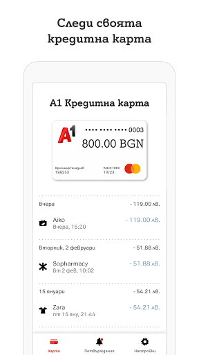 A1 Credit Card Screen 3