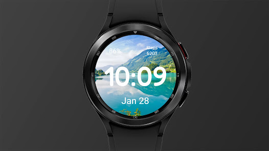 Screenshot image