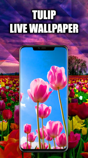 Android application Tulip Wallpaper Live HD/3D/4K screenshort