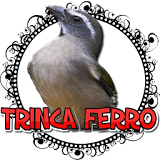 MARCHEADO DE TRINCA FERRO FÊMEA icon