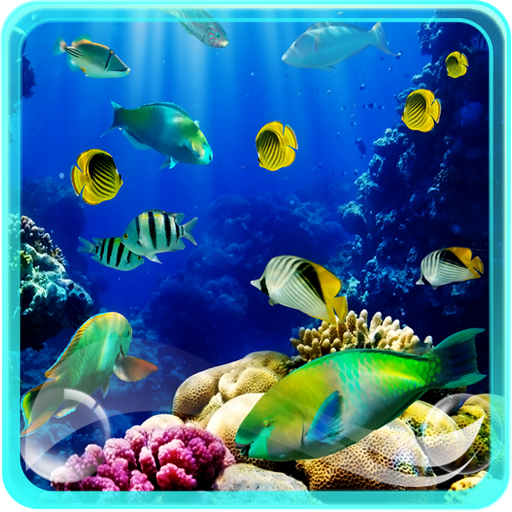 水族館 ライブ壁紙 Google Play のアプリ