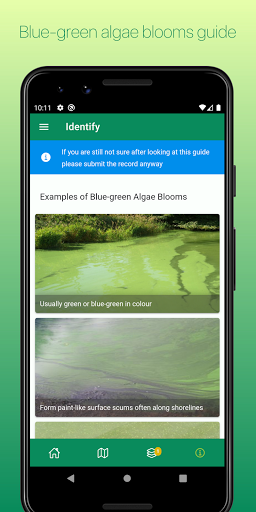 Bloomin Algae Screen 3