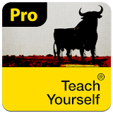 Spanish: Teach Yourself Pro icon