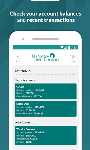Nenagh Credit Union Screen 2