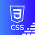 Learn CSS2.1.38 (Pro)