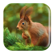 Top 19 Music & Audio Apps Like Squirrel Sounds - Best Alternatives