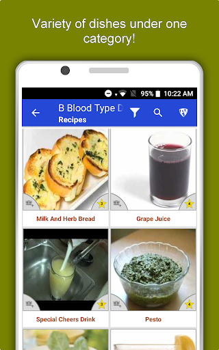 Screenshot of B Blood Type Recipes Diet Plan