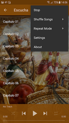 Bhagavad Gita - Spanish Audio screenshot 4
