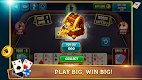 screenshot of 29 Card Game Plus