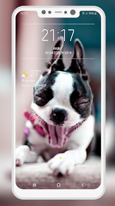 Imágen 9 Boston Terrier Wallpaper android