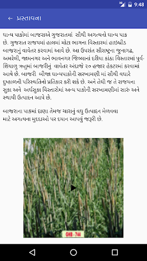 બાજરીનું વધુ ઉત્પાદન Screen 3