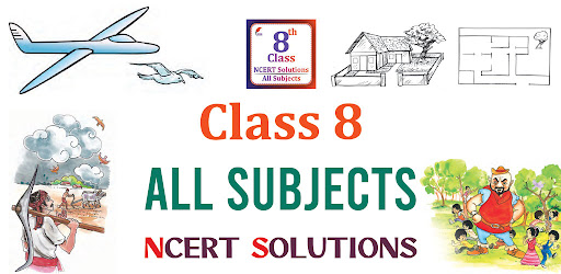 Class 8 all Subjects Guides