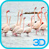 Flamingo Live Wallpaper icon