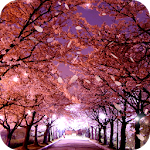 Cover Image of Tải xuống Sakura Hình nền sống  APK