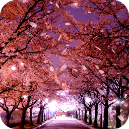 Symbolbild für Sakura Live Wallpaper