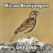 Kicau Burung Branjangan Gacor - Offline