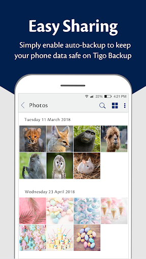 Tigo Backup Screen 3