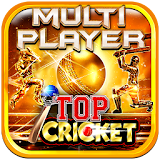 Top Cricket MultiPlayer icon