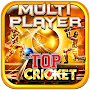 Top Cricket MultiPlayer