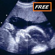 Pregnancy Baby & Baby Kick 3.33 Icon
