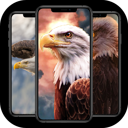 Eagle Wallpaper 4k Download on Windows
