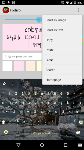 Fodiyo script plugin Screen 2