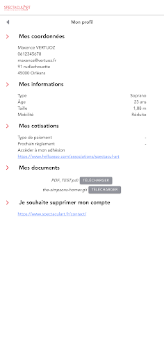 SpectaculArt Screen 2