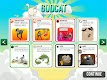 screenshot of Exploding Kittens NETFLIX