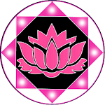 Cover Image of 下载 Chakra Activation : Ads-Free 1.0 APK