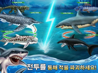 Shark World 13.81 버그판 2