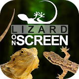 Lizard on Phone Screen: Funny Animation icon