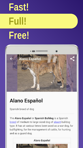 Android application Dog breeds screenshort