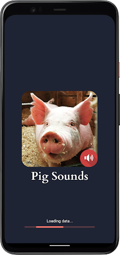 Android application Pig Sounds screenshort